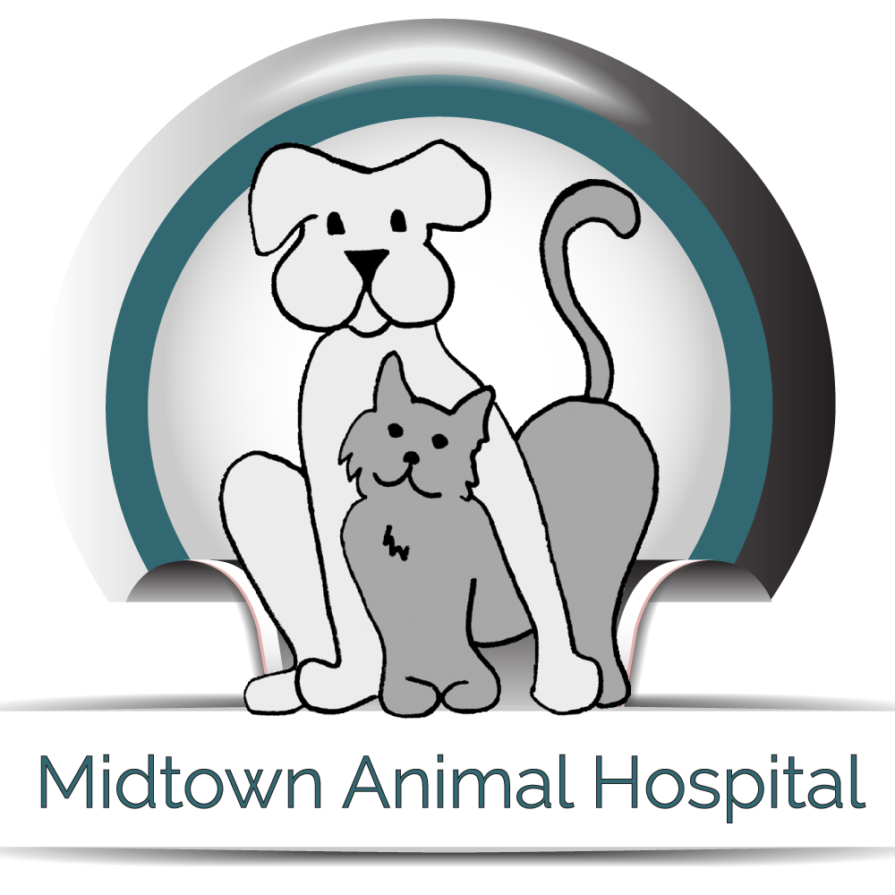 Midtown Animal Hospital in Sacramento, CA