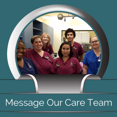 Midtown Animal Hospital - Sacramento, CA - Message Our Care Team