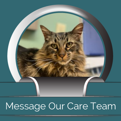 Message Our Care Team - Midtown Animal Hospital - Sacramento, CA